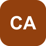 Cash advance partner